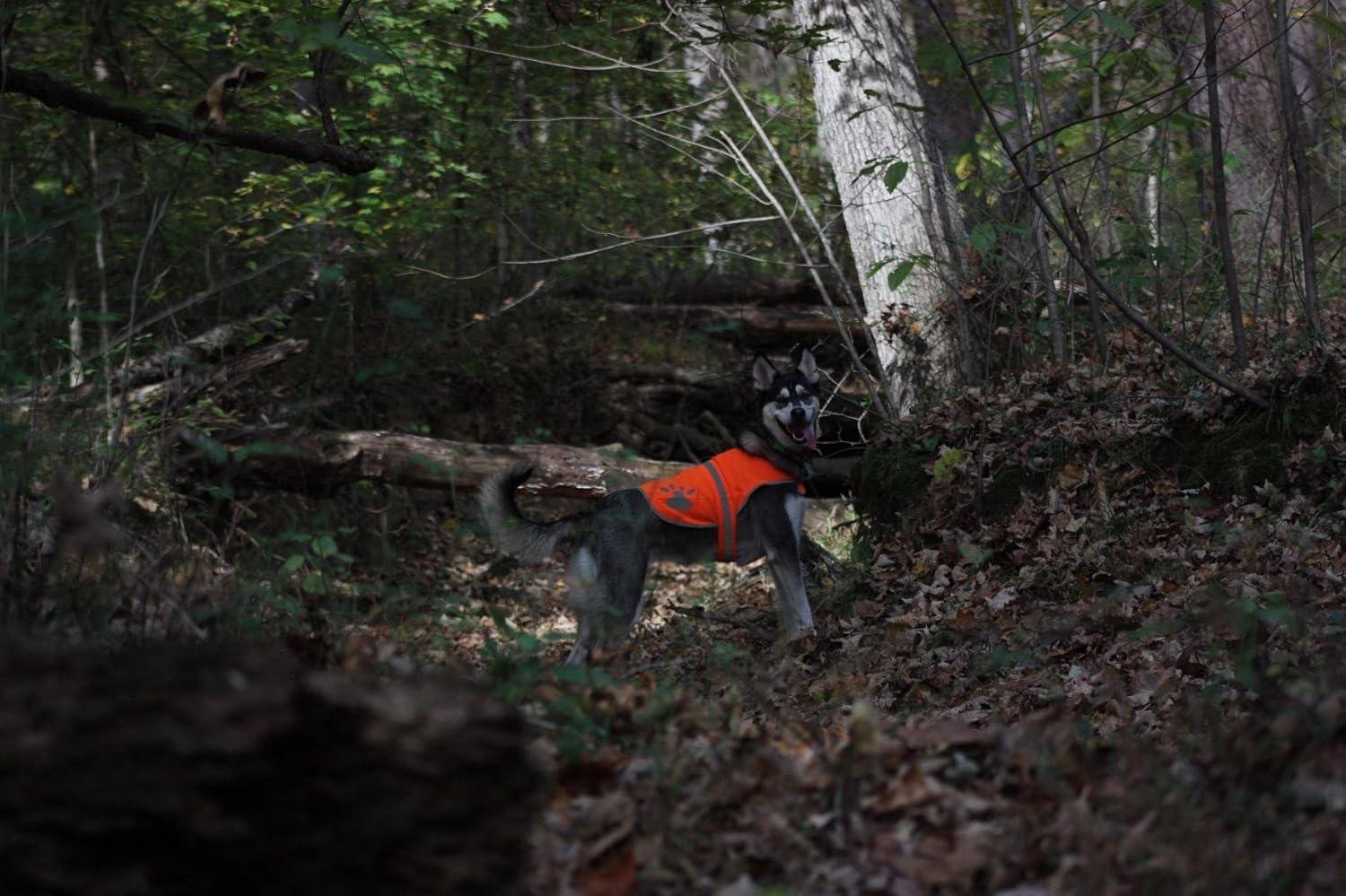 imageMaggift Dog Reflective VestPet Safety Vest Orange M