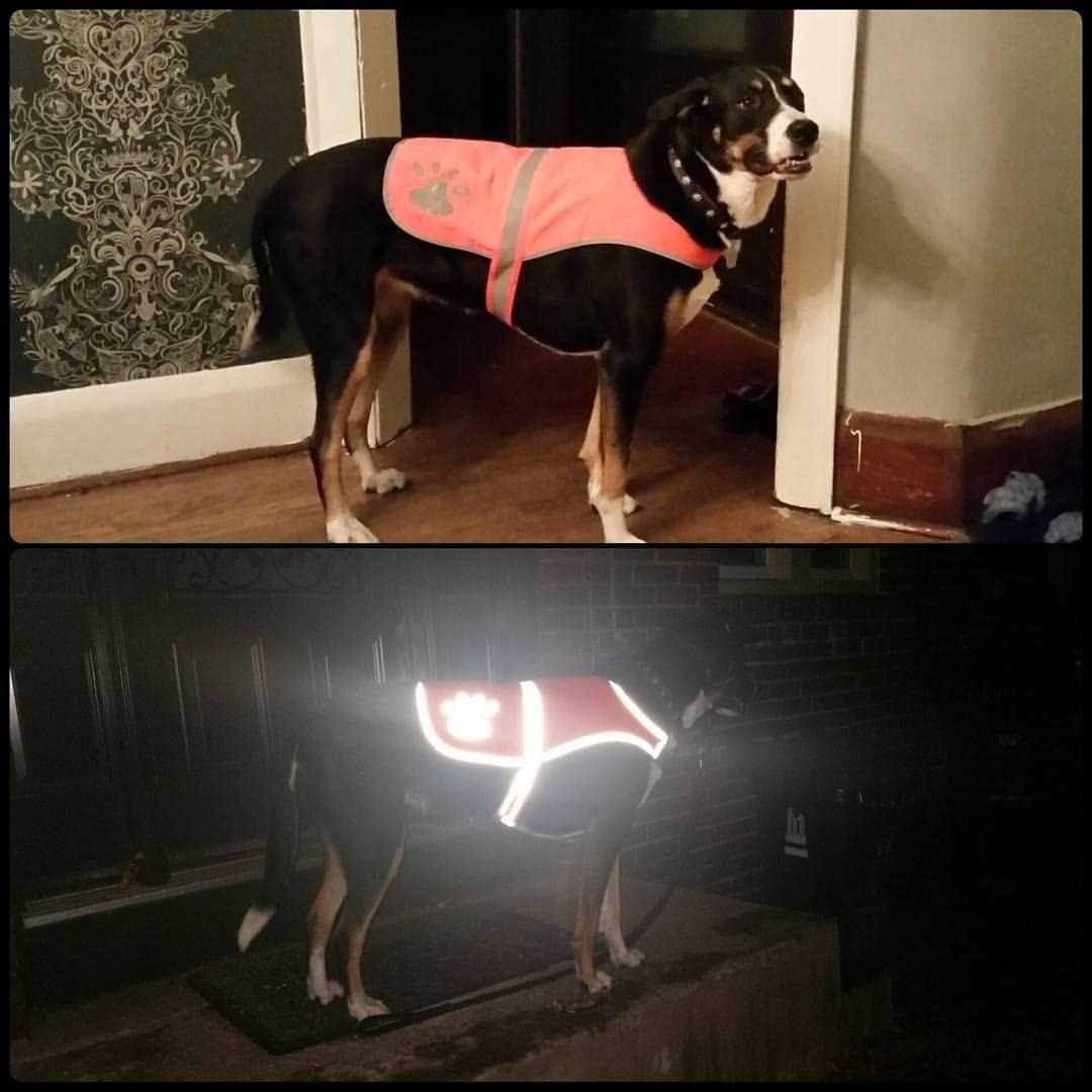 imageMaggift Dog Reflective VestPet Safety Vest Orange S