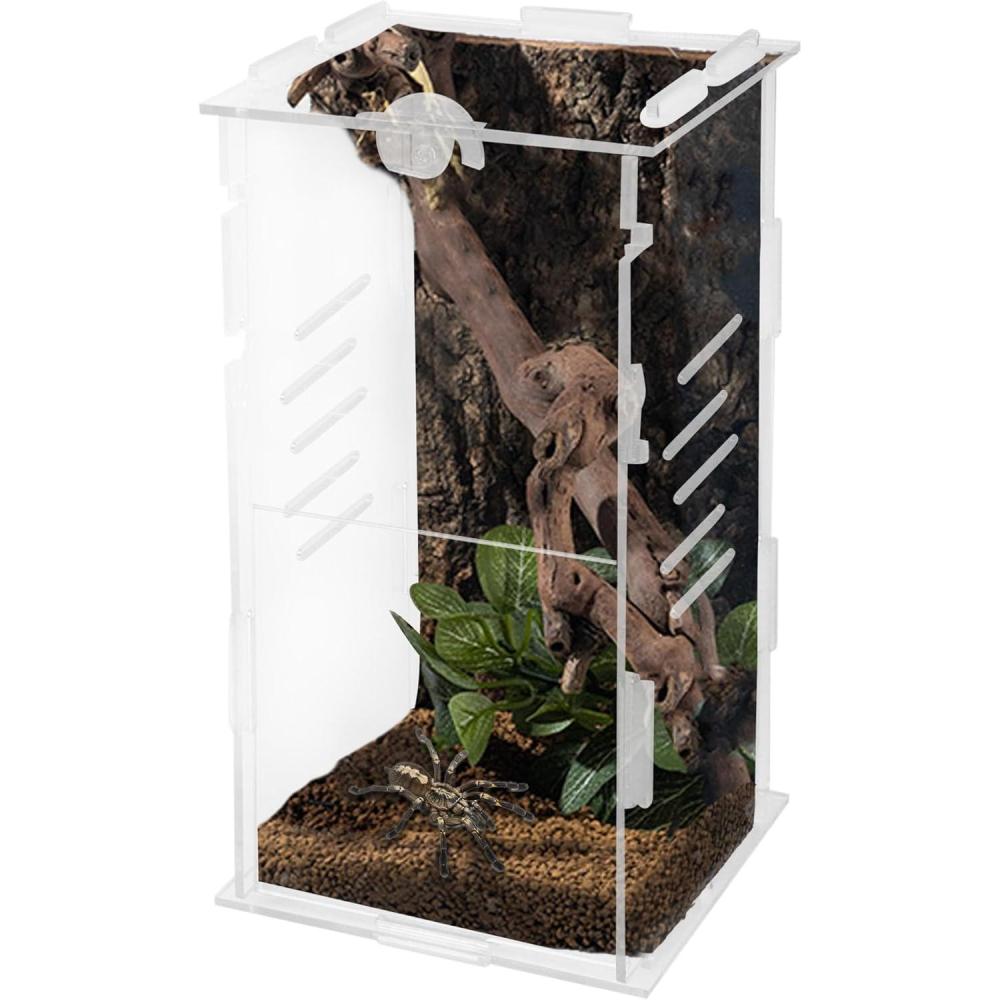 imagewinemana Small Reptile Jumping Spider Terrarium Enclosure 4quot x 4quot x 8quot Acrylic Mini Transparent Feeding Tank Micro Habitat Box for Tarantula Small Tree Dwelling Reptiles Insect Vertical