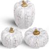 winemana 16 Pcs Golden and White Pumpkins Thanksgiving Pumpkin Decorations Assorted Sizes, Artificial Foam Harvest Autumn Decor, Fake Pumpkins Fall Decorations for Indoor Home Kitchen Table Mantle(White-1)
