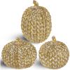winemana 16 Pcs Golden and White Pumpkins Thanksgiving Pumpkin Decorations Assorted Sizes, Artificial Foam Harvest Autumn Decor, Fake Pumpkins Fall Decorations for Indoor Home Kitchen Table Mantle(Gold-1)