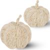winemana 2 Pack Woven Pumpkin Decor – Fall & Thanksgiving Home Decorations, White Pumpkins Farmhouse Autumn Centerpieces for Table, Mantel, Porch Decor (Cattail Material, Assorted Size)(style 2)