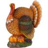 winemana Thanksgiving Table Decorations Resin Turkey with Pumpkin, Hand-Painted Fall Figurine Centerpiece for Home Kitchen Office Harvest Day Decor(style 2)