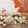 winemana 16 Pcs Golden and White Pumpkins Thanksgiving Pumpkin Decorations Assorted Sizes, Artificial Foam Harvest Autumn Decor, Fake Pumpkins Fall Decorations for Indoor Home Kitchen Table Mantle(Gold-5)