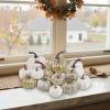 winemana 16 Pcs Golden and White Pumpkins Thanksgiving Pumpkin Decorations Assorted Sizes, Artificial Foam Harvest Autumn Decor, Fake Pumpkins Fall Decorations for Indoor Home Kitchen Table Mantle(Gold and White)