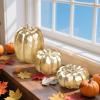 winemana 16 Pcs Golden and White Pumpkins Thanksgiving Pumpkin Decorations Assorted Sizes, Artificial Foam Harvest Autumn Decor, Fake Pumpkins Fall Decorations for Indoor Home Kitchen Table Mantle(Gold-2)