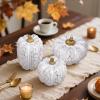 winemana 16 Pcs Golden and White Pumpkins Thanksgiving Pumpkin Decorations Assorted Sizes, Artificial Foam Harvest Autumn Decor, Fake Pumpkins Fall Decorations for Indoor Home Kitchen Table Mantle(White-1)