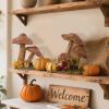 winemana 2 Pack Fall Decor Fox, Thanksgiving Decorations Indoor Sisal Foxes for Home Table Centerpiece Handmade Autumn Woodland Animal Friend Figurines with Pumpkin for Shelf Office Décor(style 4)