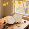 winemana 2 Pack Woven Pumpkin Decor – Fall & Thanksgiving Home Decorations, White Pumpkins Farmhouse Autumn Centerpieces for Table, Mantel, Porch Decor (Cattail Material, Assorted Size)(style 2)