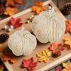 winemana 2 Pack Woven Pumpkin Decor – Fall & Thanksgiving Home Decorations, White Pumpkins Farmhouse Autumn Centerpieces for Table, Mantel, Porch Decor (Cattail Material, Assorted Size)(style 2)