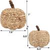 winemana 2 Pack Woven Pumpkin Decor – Fall & Thanksgiving Home Decorations, White Pumpkins Farmhouse Autumn Centerpieces for Table, Mantel, Porch Decor (Cattail Material, Assorted Size)(style 1)