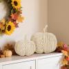 winemana 2 Pack Woven Pumpkin Decor – Fall & Thanksgiving Home Decorations, White Pumpkins Farmhouse Autumn Centerpieces for Table, Mantel, Porch Decor (Cattail Material, Assorted Size)(style 2)