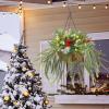 winemana Christmas Hanging Basket Decorations, Pre-Lit Hanging Baskets Artificial Plant with Lights Timer Norfolk Pine Cones Berry Clusters for Front Porch Outdoor Winter Christmas Xmas Decoration