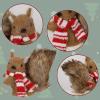 winemana Christmas Squirrel Table Decor, Set of 2 Squirrel Ornaments Woodland Animals Figurine with Scarf Christmas Winter Holiday Decorations for Indoor Home Mantle Office Xmas Gifts