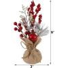 winemana Mini Christmas Tree Table Decorations Indoor, 3 Pcs Small Artificial Xmas Trees Decoration with Red Berries Pine Cone for Centerpiece Kitchen Office Tabletop Home Holiday Decor(style 2)