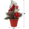 winemana Mini Christmas Tree Table Decorations Indoor, 3 Pcs Small Artificial Xmas Trees Decoration with Red Berries Pine Cone for Centerpiece Kitchen Office Tabletop Home Holiday Decor(style 3)