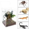 winemana Reptile Terrarium Aquarium Breeding Tank, 14.5″ x 10.5″ x 10″ Acrylic Tarantula Enclosure Feeding Box Insect Habitat for Tarantula Spider Snake Lizard Hermit Crab Insect