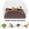 winemana Reptile Terrarium, Tarantula Enclosure, 16″ x 11″ x 6″ Acrylic Large Feeding Tarantula Habitat Box for Small Animals Insect Home Office