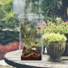 winemana Small Reptile Jumping Spider Terrarium Enclosure, 4″ x 4″ x 8″ Acrylic Mini Transparent Feeding Tank Micro Habitat Box for Tarantula Small Tree Dwelling Reptiles Insect (Vertical)