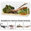 winemana Small Reptile Jumping Spider Terrarium Enclosure, 8″ x 4″ x 4″ Acrylic Mini Transparent Feeding Tank Micro Habitat Box for Tarantula Isopod Roach Invertebrates Insect