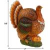 winemana Thanksgiving Table Decorations Resin Turkey with Pumpkin, Hand-Painted Fall Figurine Centerpiece for Home Kitchen Office Harvest Day Decor(style 2)