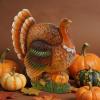 winemana Thanksgiving Table Decorations Resin Turkey with Pumpkin, Hand-Painted Fall Figurine Centerpiece for Home Kitchen Office Harvest Day Decor(style 2)