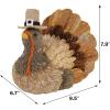 winemana Thanksgiving Turkey Decor – 7.9″ Tall Sisal Turkeys Table Centerpiece with Top Hat, Fall & Harvest Home Decor, Thanksgiving Decorations Indoor(style 2)