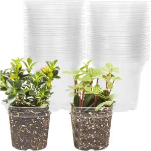 winemana 4 Inch Seed Starter Tray for Vegetable Herb Lettuce Seeds, Plant Pots for Potting Soil Indoor Plants, Clear Nursery Pots Plastic Planting Pots Garden Flower Pots- 60 Packs(4 Inch-60Pack)