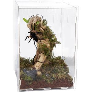 winemana Reptile Terrarium Aquarium Breeding Tank, 14.5″ x 10.5″ x 10″ Acrylic Tarantula Enclosure Feeding Box Insect Habitat for Tarantula Spider Snake Lizard Hermit Crab Insect