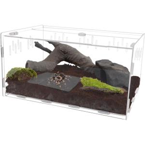 winemana Reptile Terrarium, Tarantula Enclosure, 16″ x 11″ x 6″ Acrylic Large Feeding Tarantula Habitat Box for Small Animals Insect Home Office