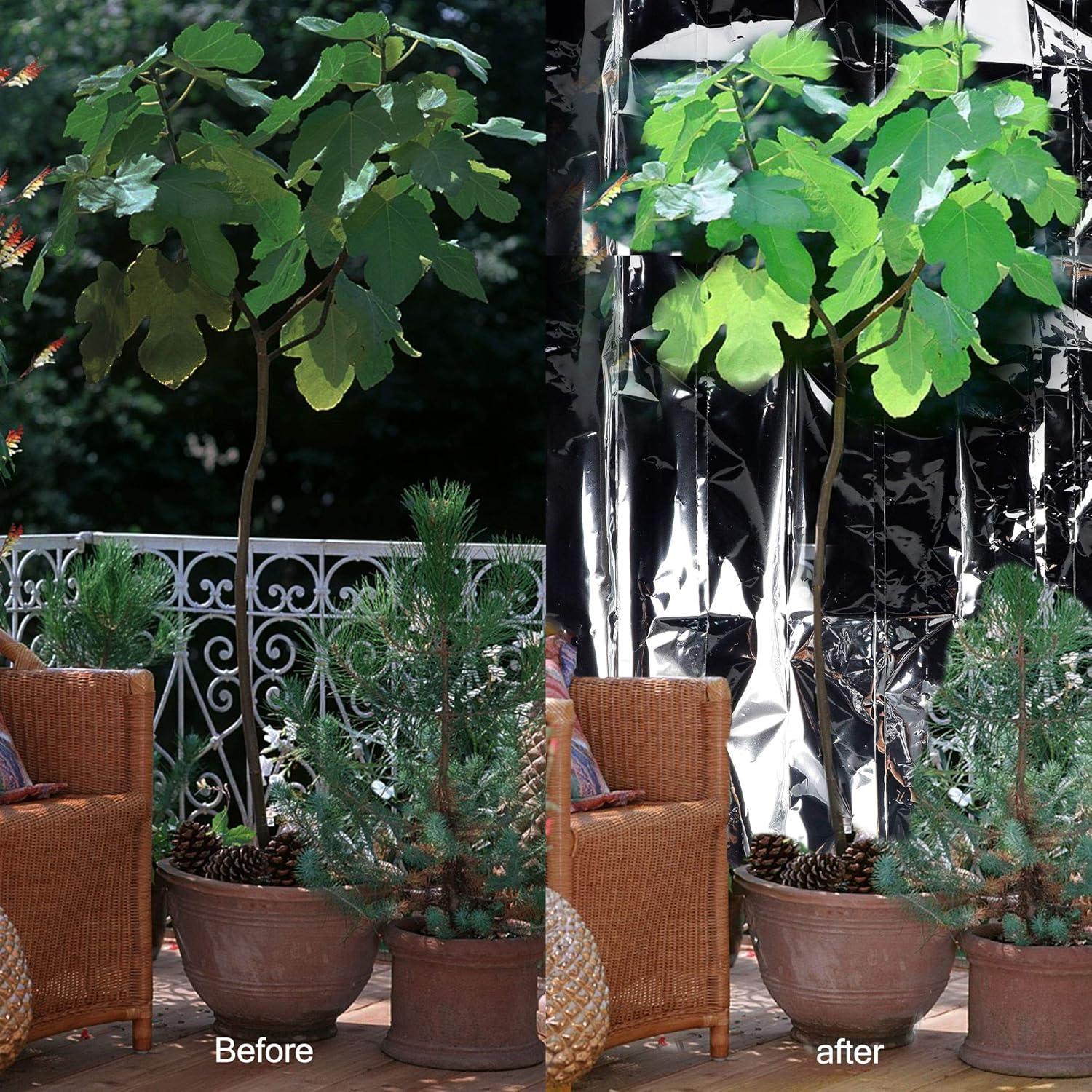 imagewinemana 6 Pack Large High Silver Reflective Mylar Film 83x 63 in High Reflectivity Keep Warm 100 Environmentally Safe Perfect for Plant Growth First Aid Marathon Camping Outdoor Survival