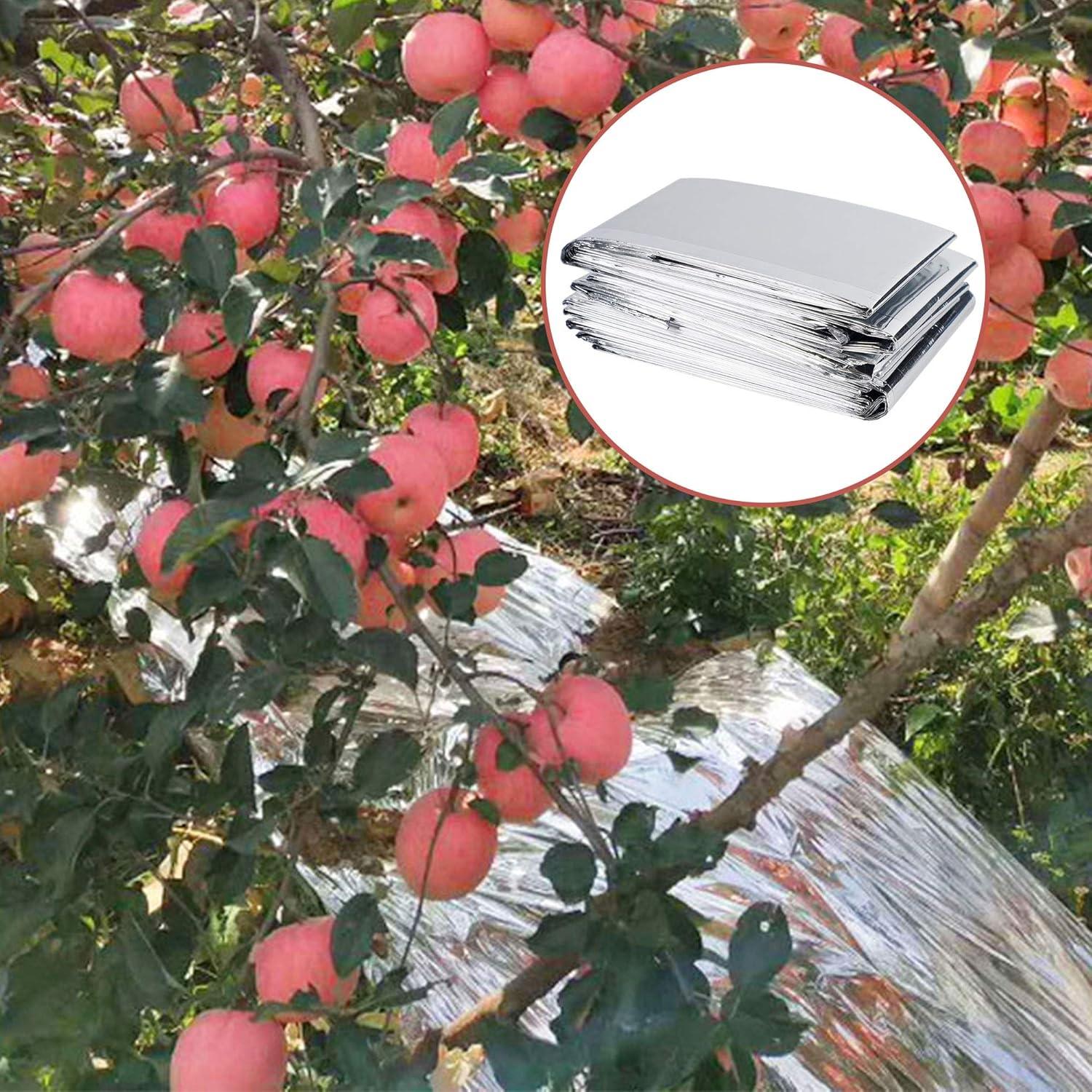 imagewinemana 6 Pack Large High Silver Reflective Mylar Film 83x 63 in High Reflectivity Keep Warm 100 Environmentally Safe Perfect for Plant Growth First Aid Marathon Camping Outdoor Survival