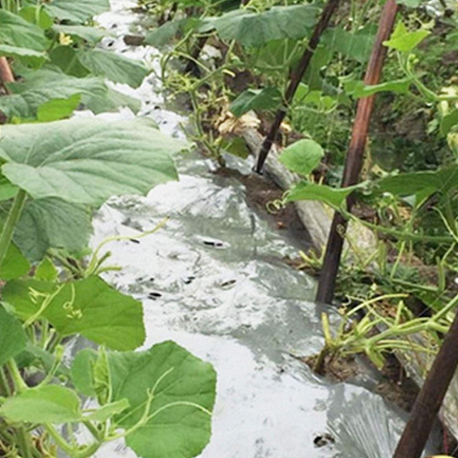 imagewinemana 6 Pack Large High Silver Reflective Mylar Film 83x 63 in High Reflectivity Keep Warm 100 Environmentally Safe Perfect for Plant Growth First Aid Marathon Camping Outdoor Survival