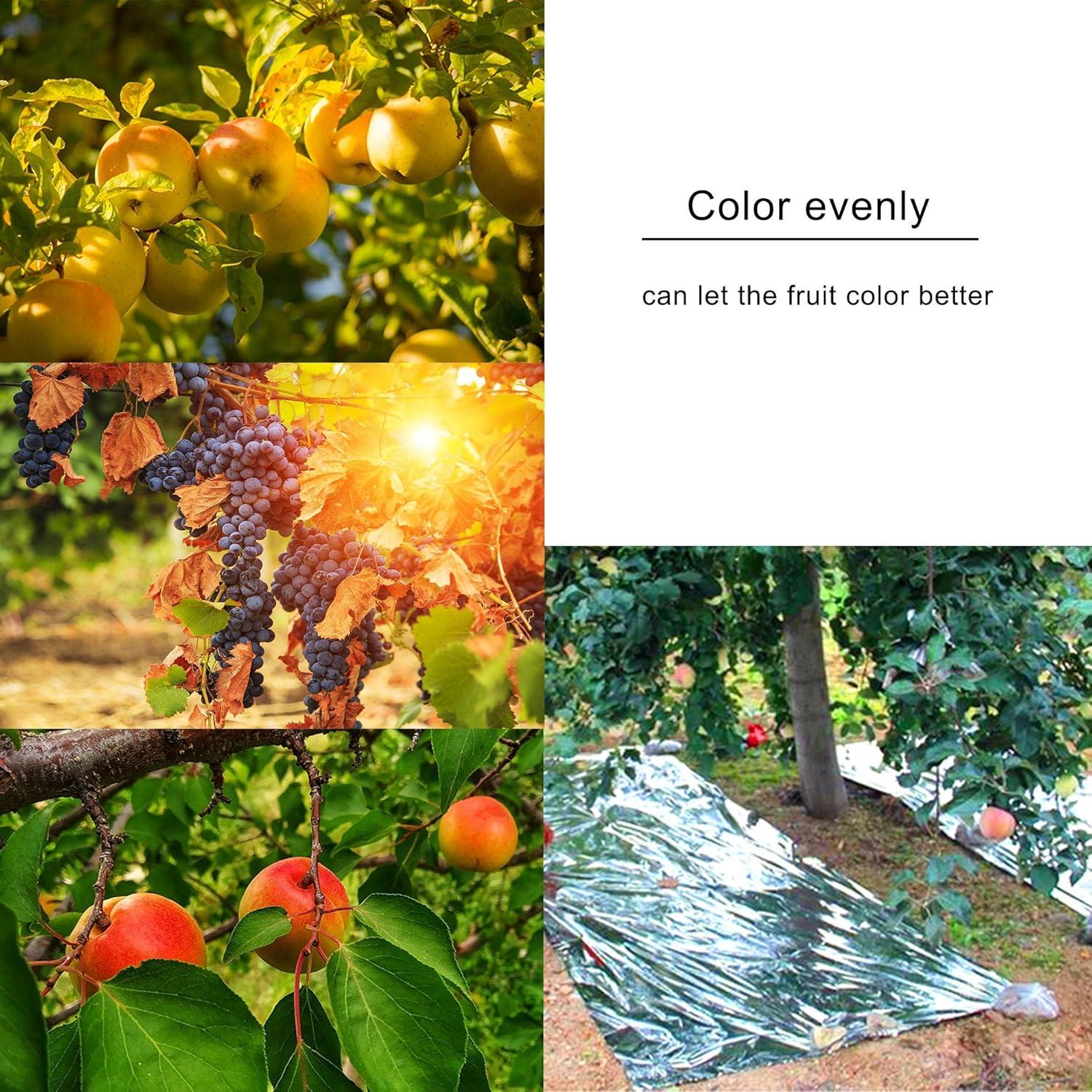 imagewinemana 6 Pack Large High Silver Reflective Mylar Film 83x 63 in High Reflectivity Keep Warm 100 Environmentally Safe Perfect for Plant Growth First Aid Marathon Camping Outdoor Survival