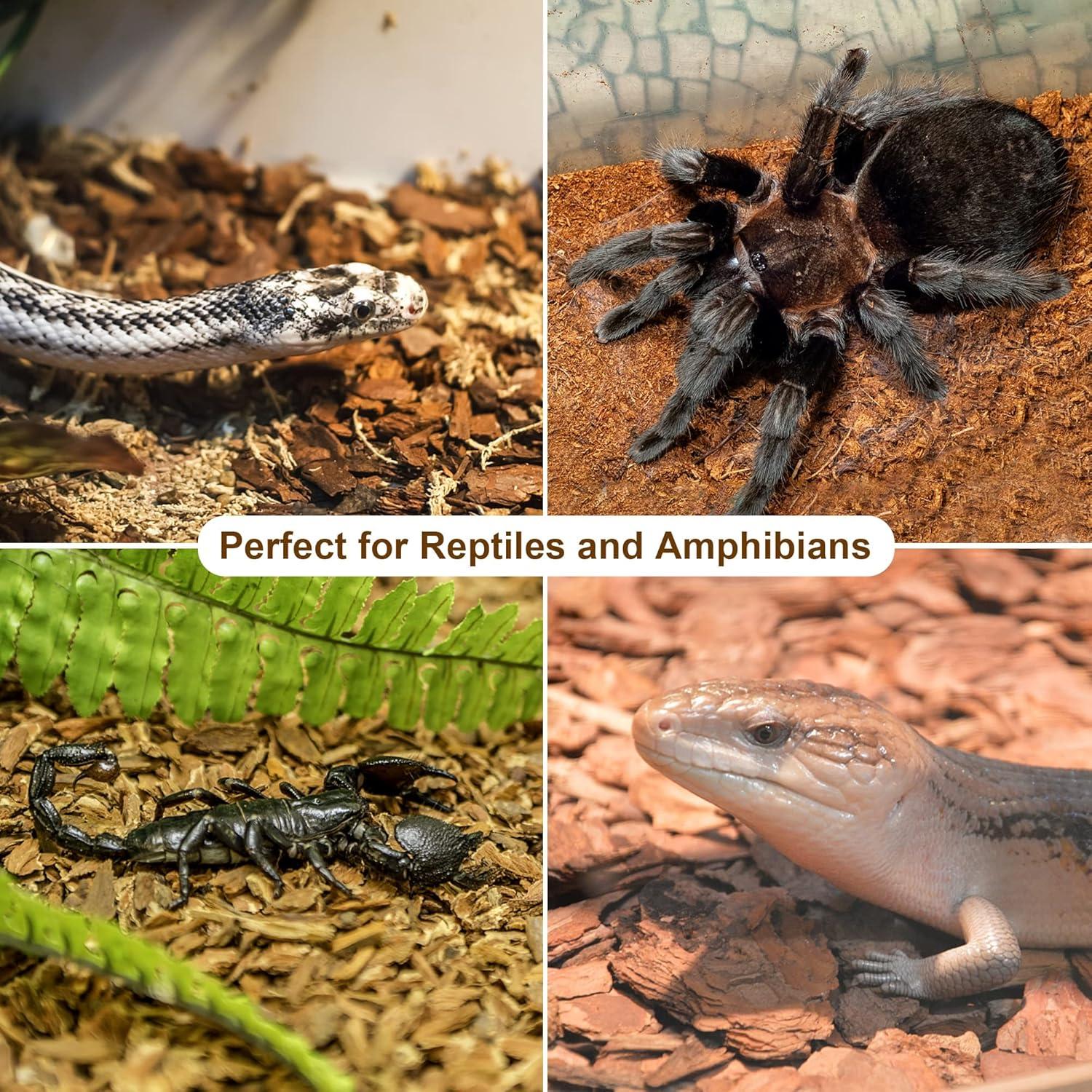 imagewinemana Coconut Fiber Substrate for Reptiles 10 Quart Coconut Bedding for Reptile Terrarium Tanks Tarantula Tortoises Lizards