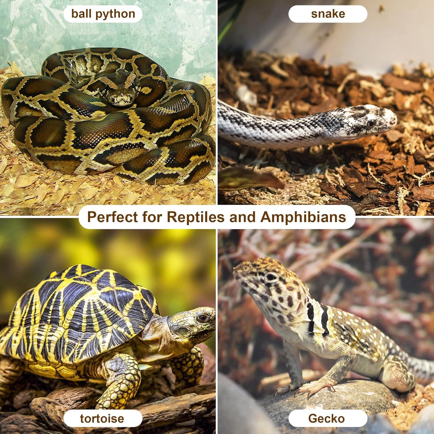 imagewinemana Coconut Substrate for Reptile 61 Quart Coconut Husk Chip Bedding for Ball Python Snake Tortoise