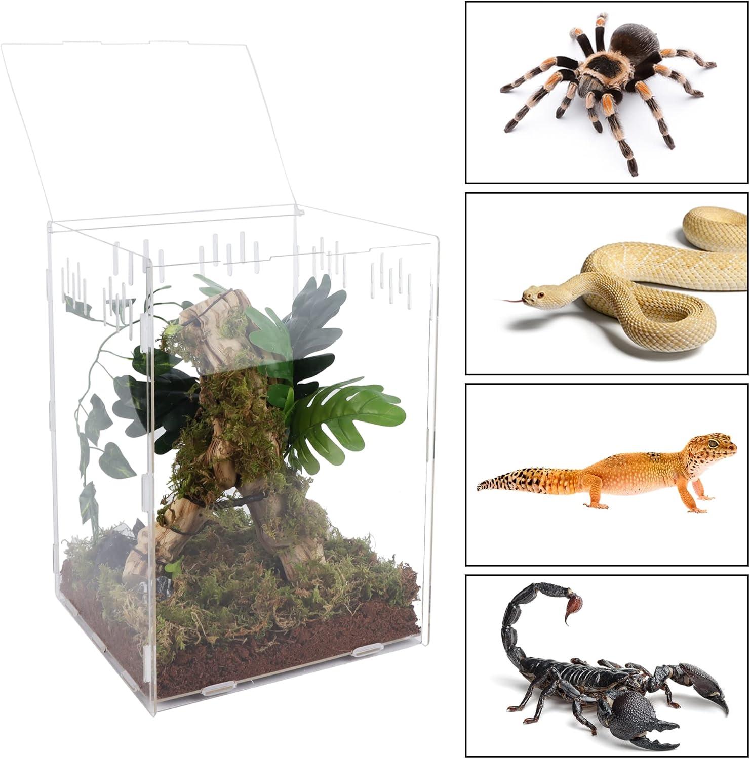 imagewinemana Reptile Terrarium Aquarium Breeding Tank 145quot x 105quot x 10quot Acrylic Tarantula Enclosure Feeding Box Insect Habitat for Tarantula Spider Snake Lizard Hermit Crab Insect