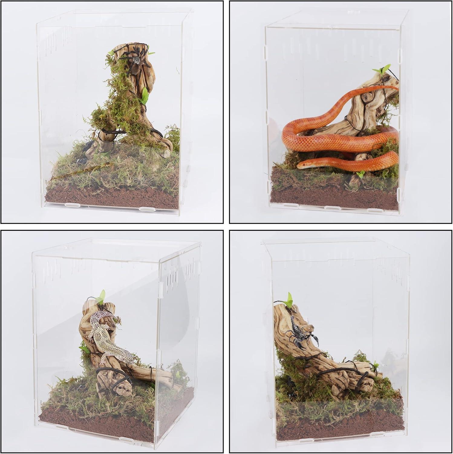imagewinemana Reptile Terrarium Aquarium Breeding Tank 145quot x 105quot x 10quot Acrylic Tarantula Enclosure Feeding Box Insect Habitat for Tarantula Spider Snake Lizard Hermit Crab Insect