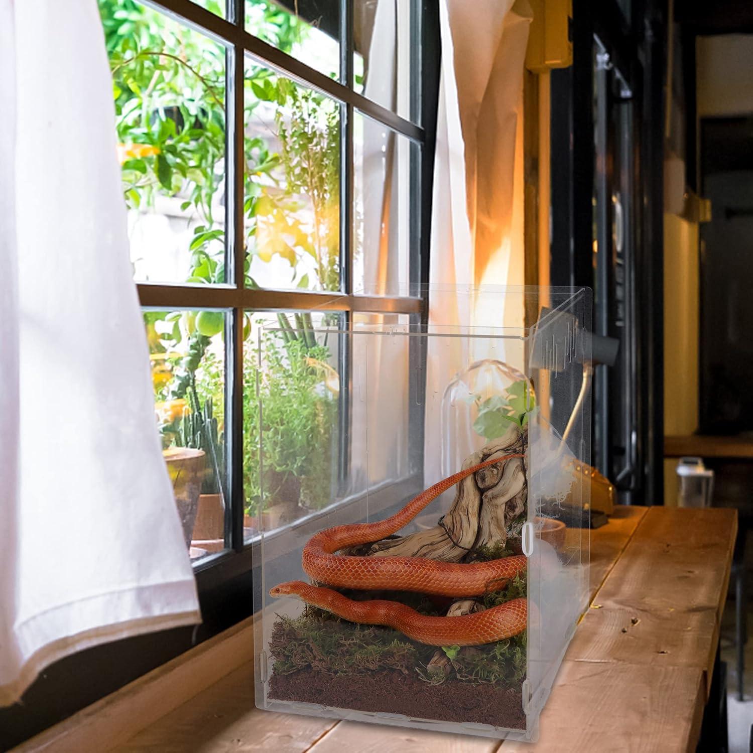 imagewinemana Reptile Terrarium Aquarium Breeding Tank 145quot x 105quot x 10quot Acrylic Tarantula Enclosure Feeding Box Insect Habitat for Tarantula Spider Snake Lizard Hermit Crab Insect