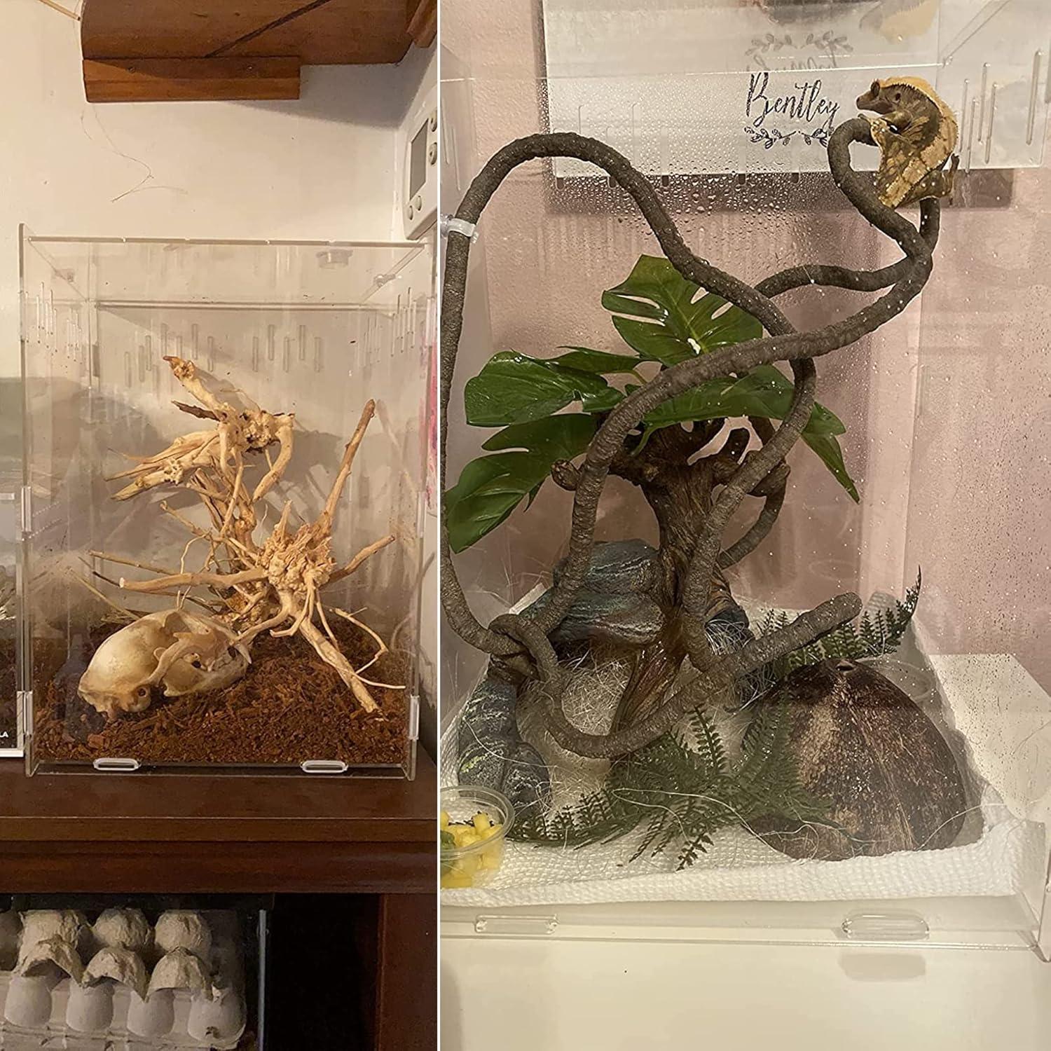 imagewinemana Reptile Terrarium Aquarium Breeding Tank 145quot x 105quot x 10quot Acrylic Tarantula Enclosure Feeding Box Insect Habitat for Tarantula Spider Snake Lizard Hermit Crab Insect