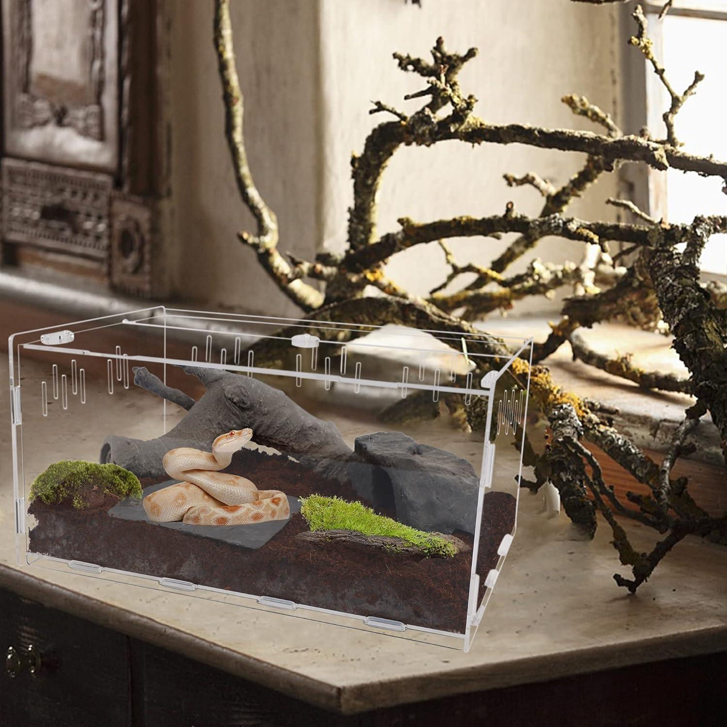 imagewinemana Reptile Terrarium Tarantula Enclosure 16quot x 11quot x 6quot Acrylic Large Feeding Tarantula Habitat Box for Small Animals Insect Home Office