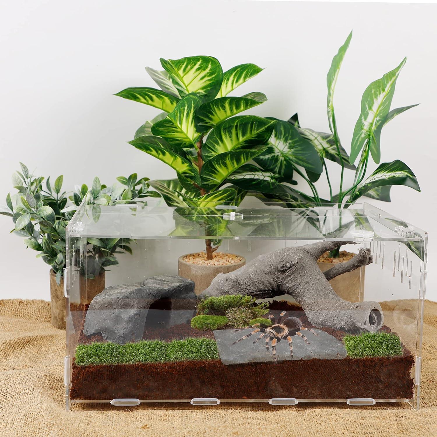 imagewinemana Reptile Terrarium Tarantula Enclosure 16quot x 11quot x 6quot Acrylic Large Feeding Tarantula Habitat Box for Small Animals Insect Home Office