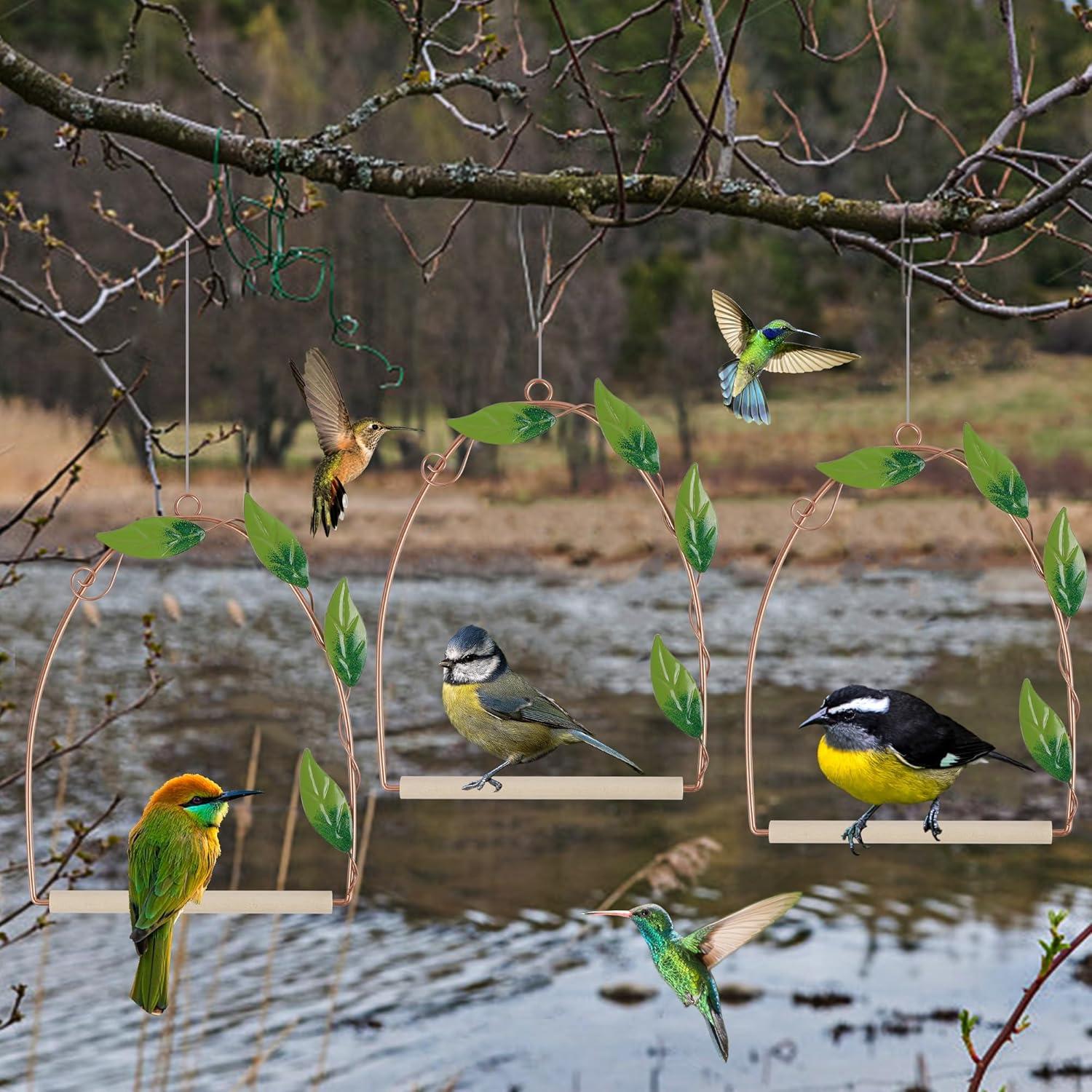 imagewinemana Set of 3 Hummingbird Swings and Perches Rust Resistant Metal Frame with Wooden Dowel Bird Feeders Accessories for Hanging Balcony Garden Backyard Patio Porch Indoor Outdoor Decor Copper