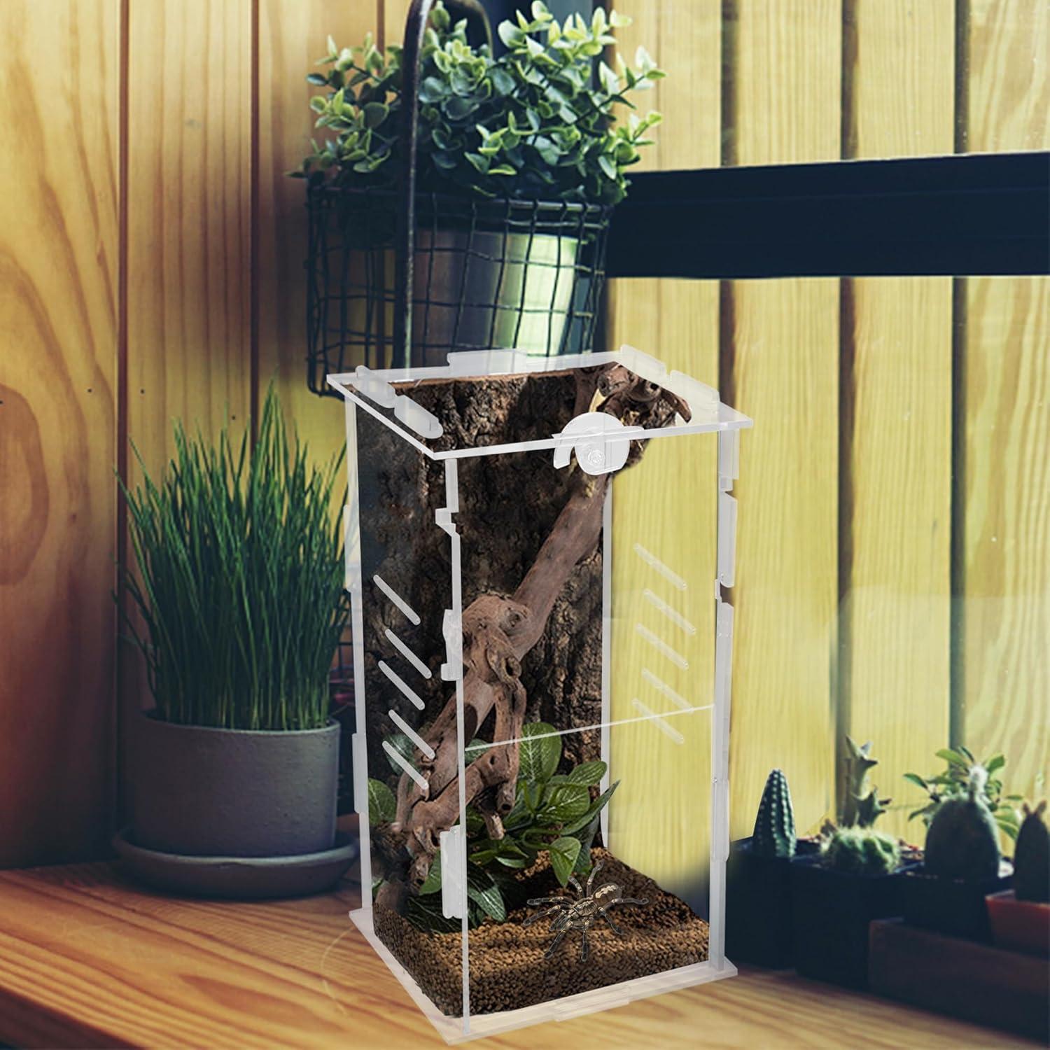 imagewinemana Small Reptile Jumping Spider Terrarium Enclosure 4quot x 4quot x 8quot Acrylic Mini Transparent Feeding Tank Micro Habitat Box for Tarantula Small Tree Dwelling Reptiles Insect Vertical