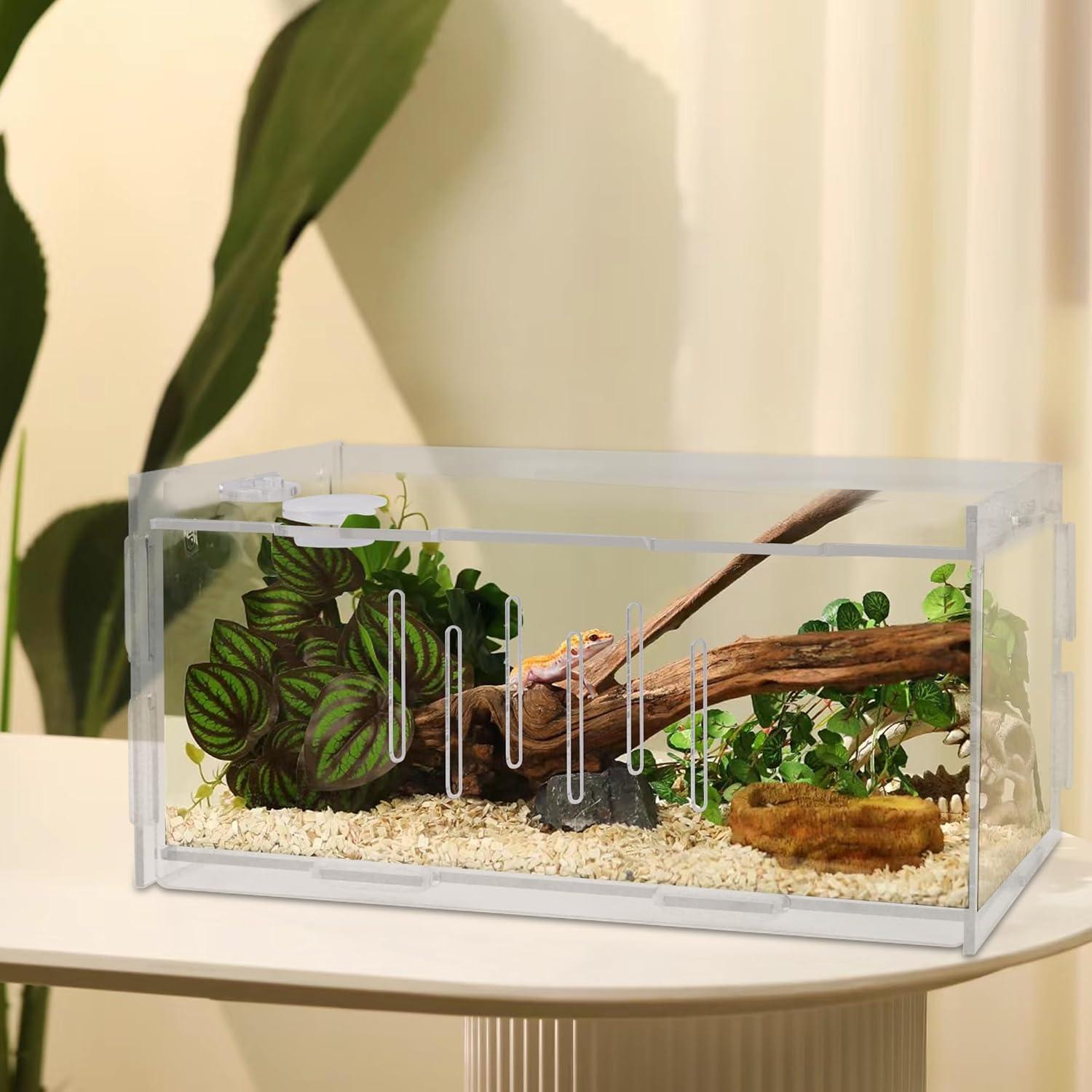 imagewinemana Small Reptile Jumping Spider Terrarium Enclosure 8quot x 4quot x 4quot Acrylic Mini Transparent Feeding Tank Micro Habitat Box for Tarantula Isopod Roach Invertebrates Insect