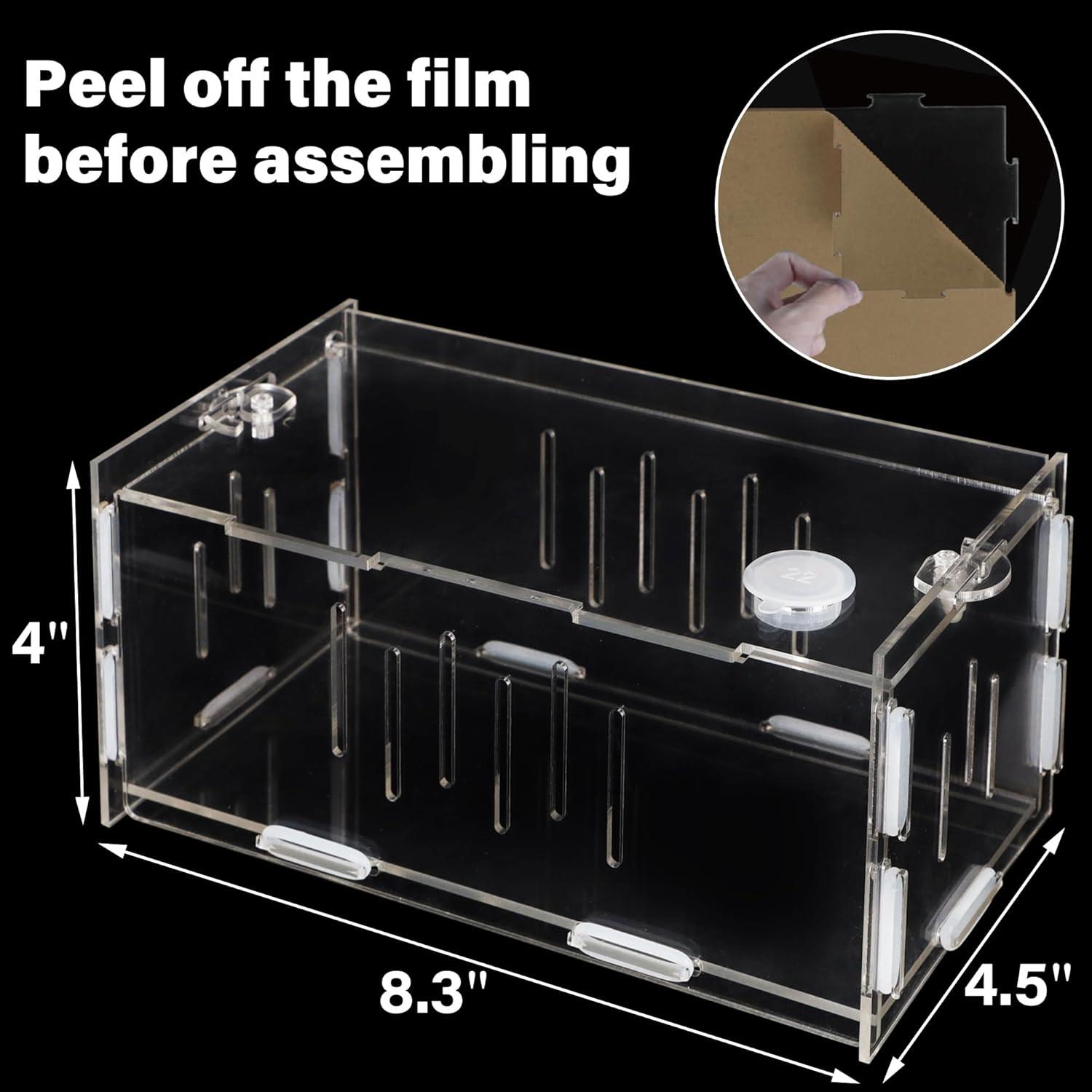imagewinemana Small Reptile Jumping Spider Terrarium Enclosure 8quot x 4quot x 4quot Acrylic Mini Transparent Feeding Tank Micro Habitat Box for Tarantula Isopod Roach Invertebrates Insect