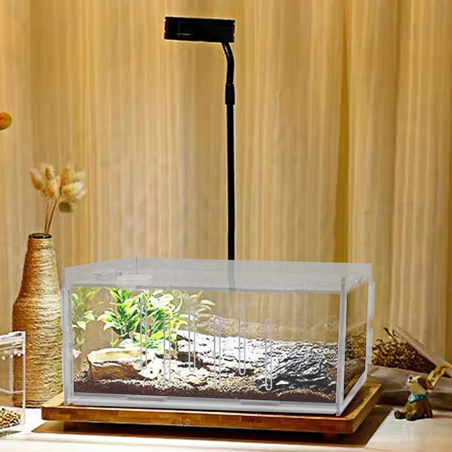 imagewinemana Small Reptile Jumping Spider Terrarium Enclosure 8quot x 4quot x 4quot Acrylic Mini Transparent Feeding Tank Micro Habitat Box for Tarantula Isopod Roach Invertebrates Insect