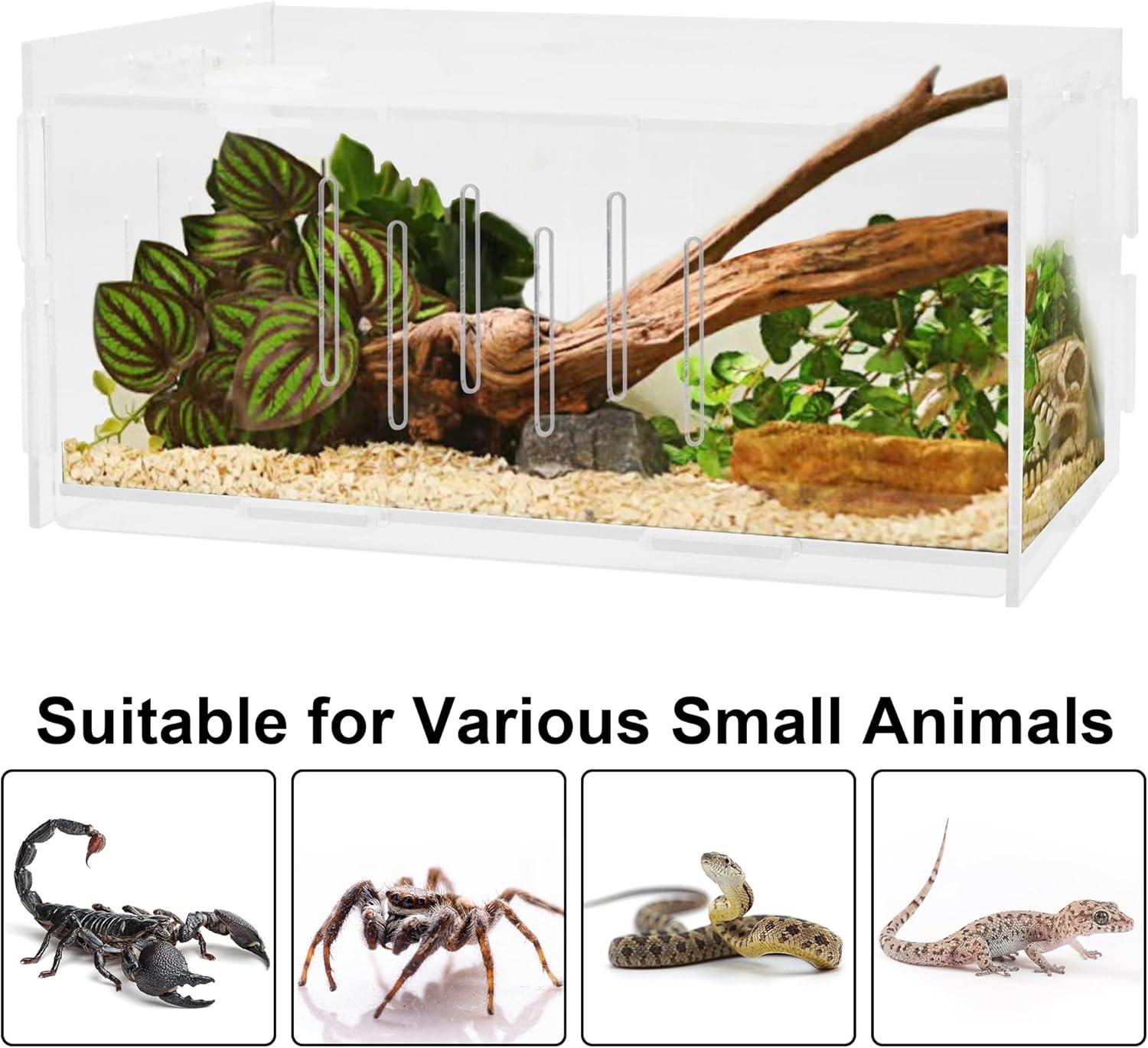 imagewinemana Small Reptile Jumping Spider Terrarium Enclosure 8quot x 4quot x 4quot Acrylic Mini Transparent Feeding Tank Micro Habitat Box for Tarantula Isopod Roach Invertebrates Insect