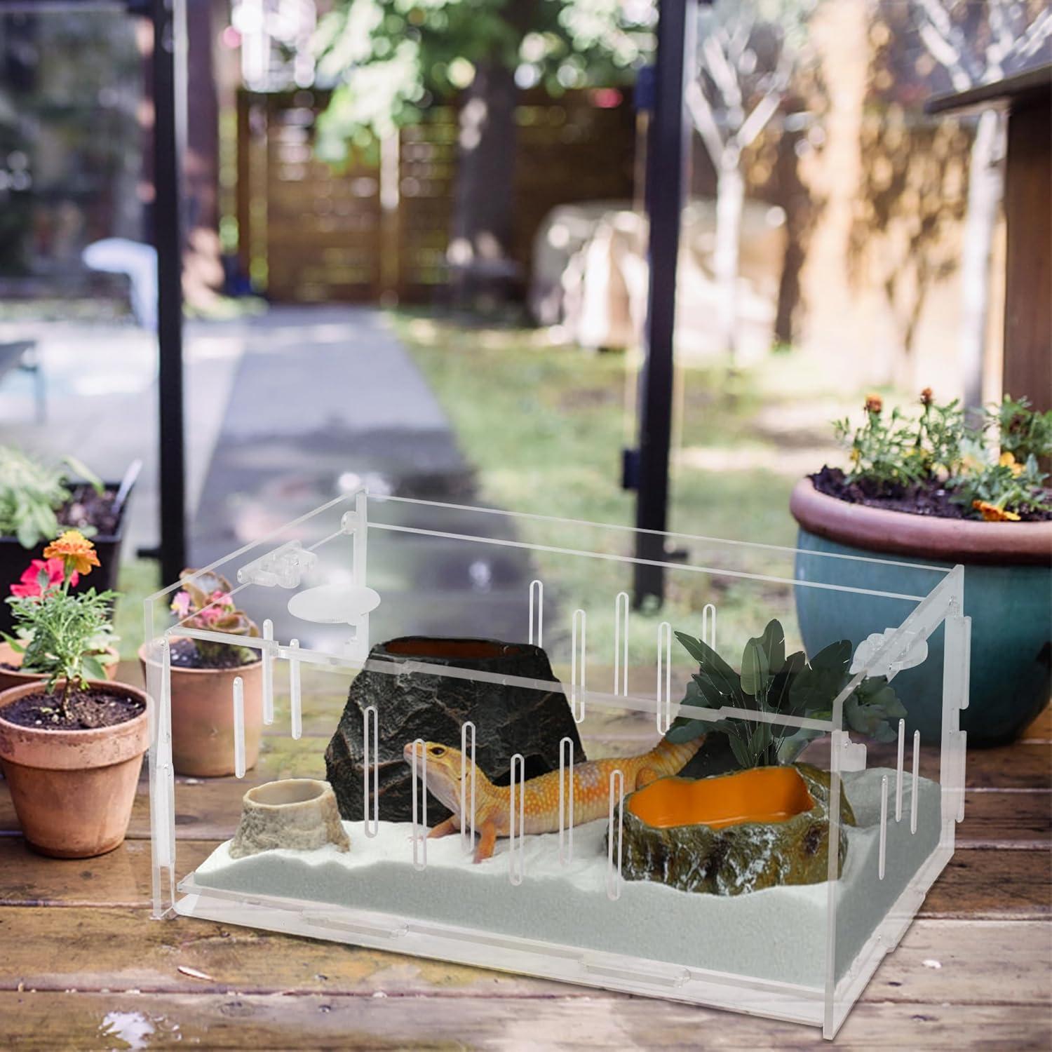 imagewinemana Small Reptile Jumping Spider Terrarium Enclosure 8quot x 4quot x 4quot Acrylic Mini Transparent Feeding Tank Micro Habitat Box for Tarantula Isopod Roach Invertebrates Insect