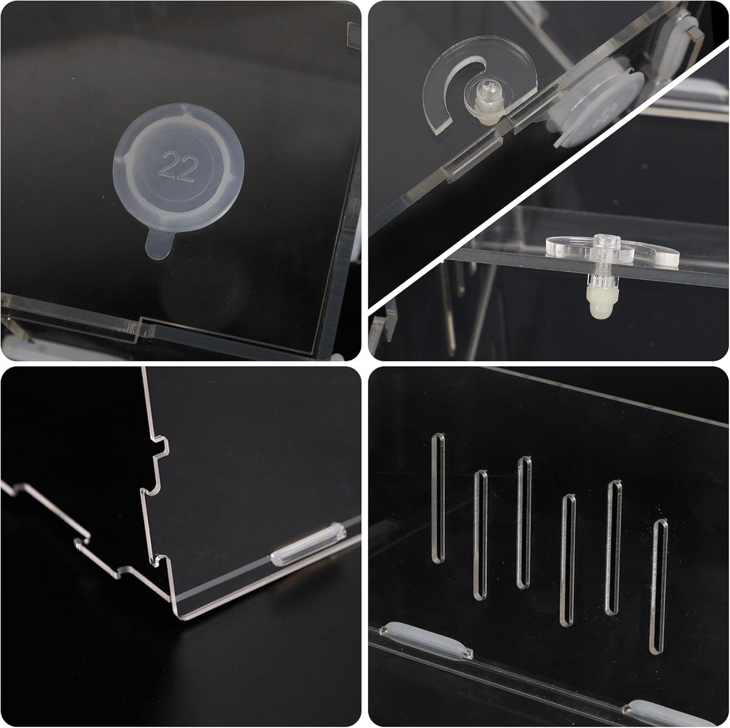 imagewinemana Small Reptile Jumping Spider Terrarium Enclosure 8quot x 4quot x 4quot Acrylic Mini Transparent Feeding Tank Micro Habitat Box for Tarantula Isopod Roach Invertebrates Insect